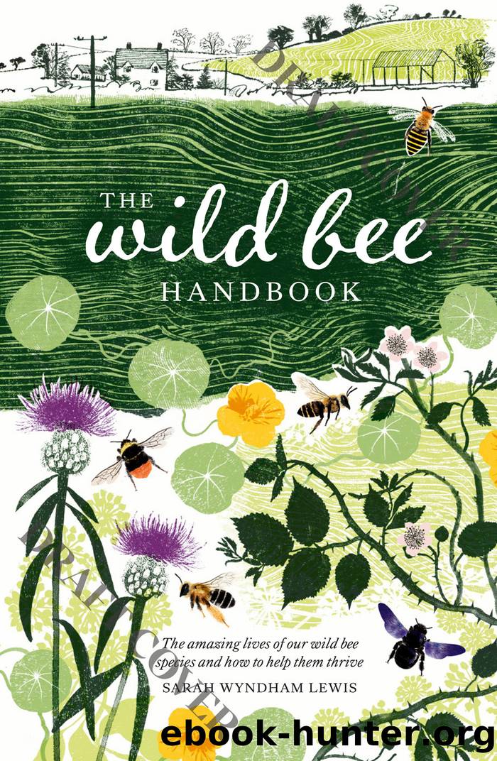 The Wild Bee Handbook: the Amazing Lives of Our Wild Species and How to Help Them Thrive by Sarah Wyndham Lewis