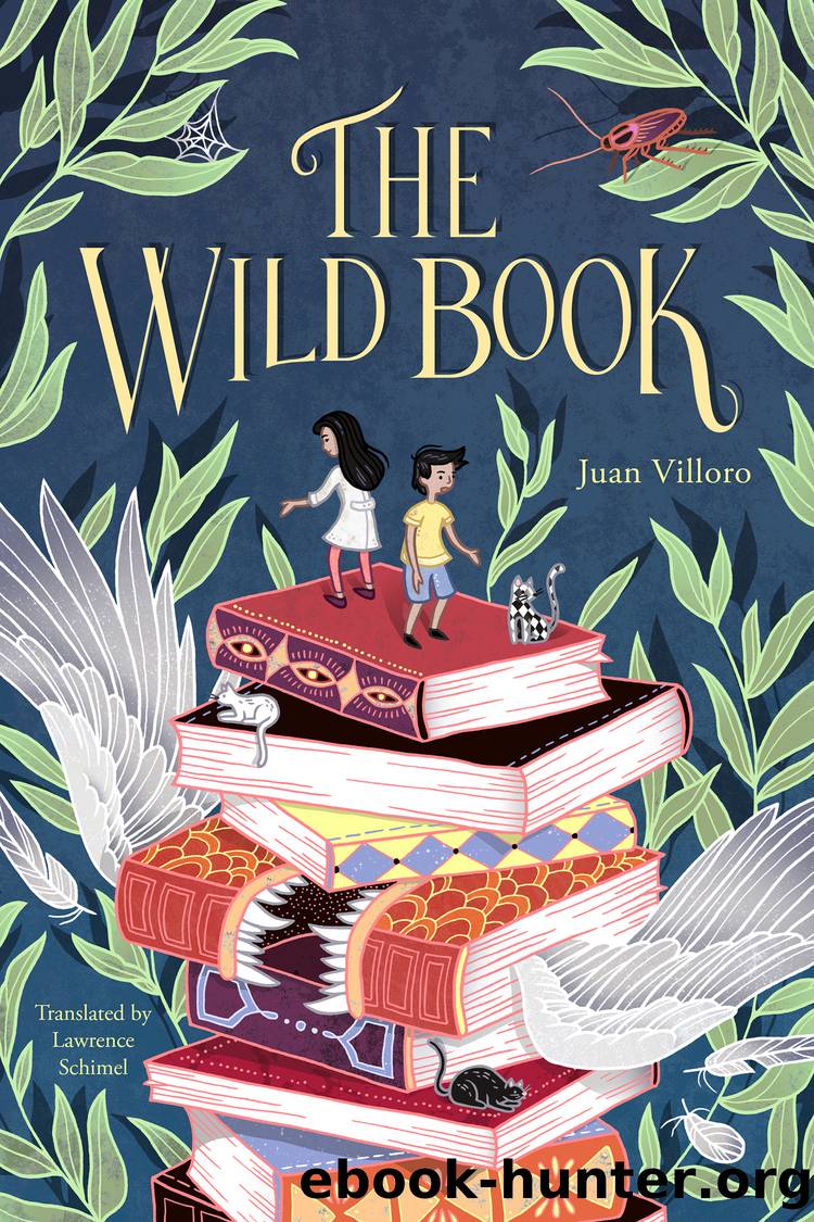 The Wild Book by Juan Villoro