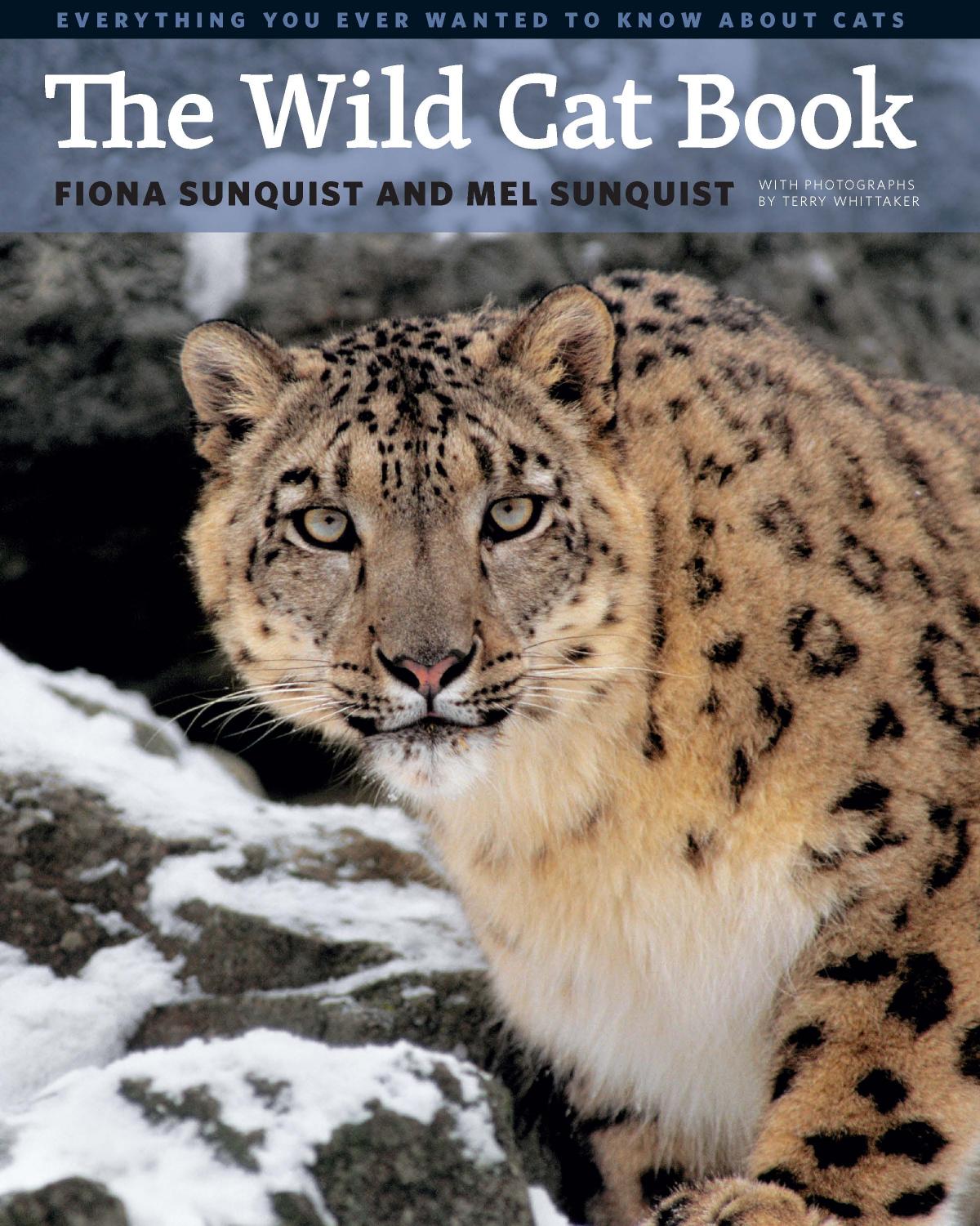 The Wild Cat Book: Everything You Ever Wanted to Know about Cats by Unknow