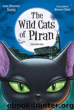 The Wild Cats of Piran by Scott Alexander Young