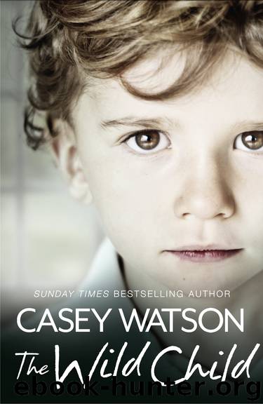 The Wild Child by Casey Watson