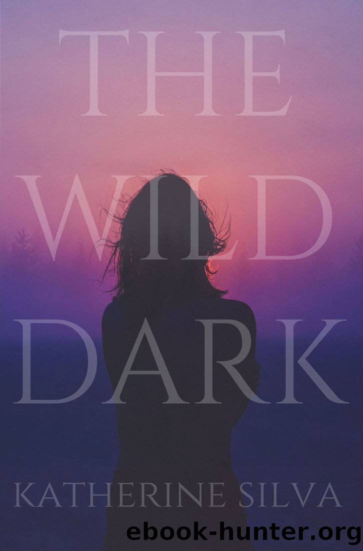 The Wild Dark by Katherine Silva