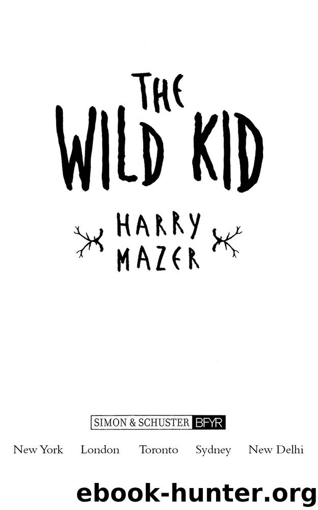 The Wild Kid by Harry Mazer