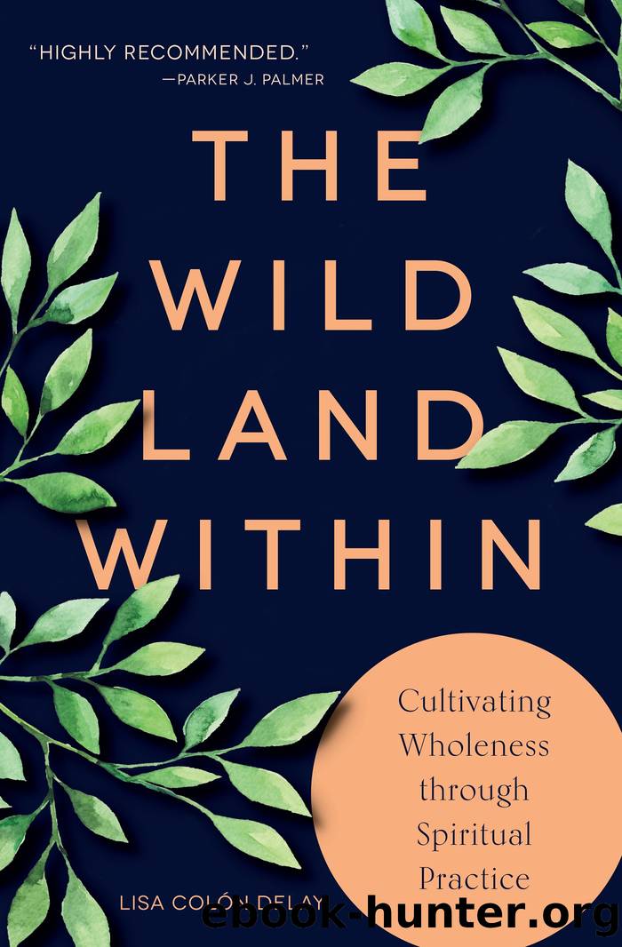 The Wild Land Within by Lisa Colón DeLay