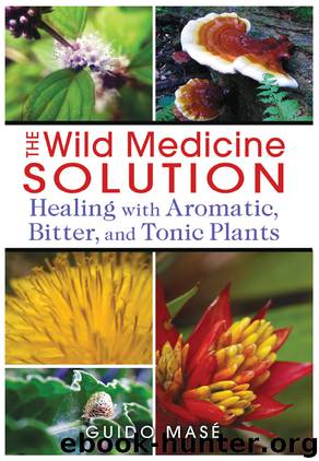 The Wild Medicine Solution by Guido Masé