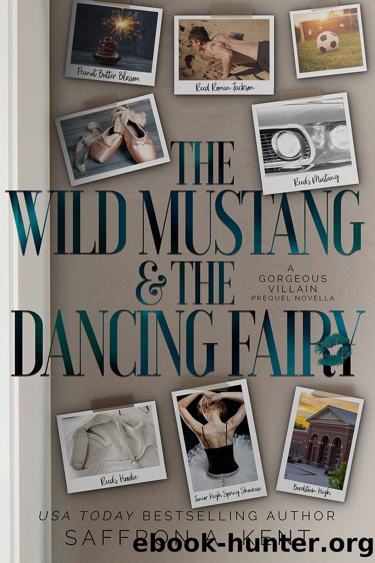 The Wild Mustang & the Dancing Fairy by Kent Saffron A