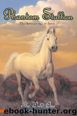 The Wild One by Terri Farley