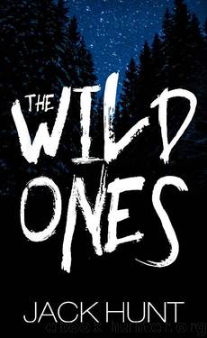 The Wild Ones [Book 1] by Jack Hunt