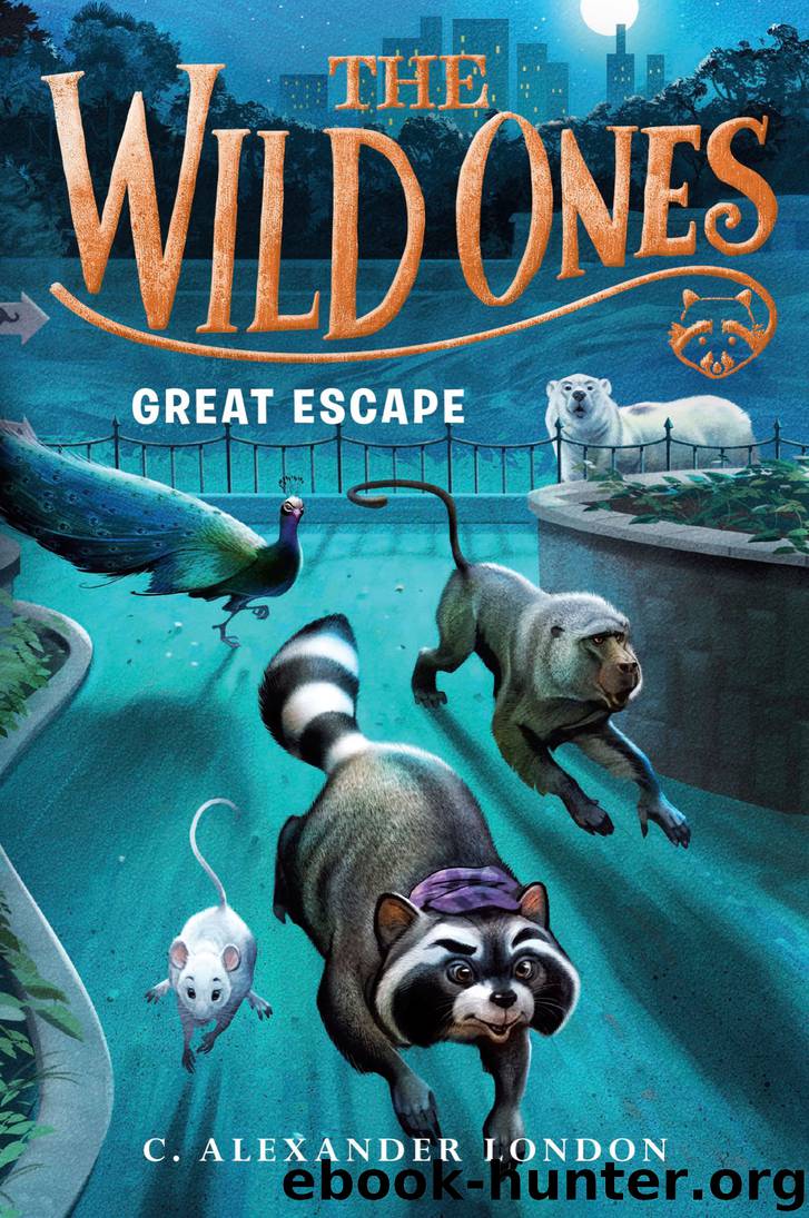 The Wild Ones--Great Escape by C. Alexander London