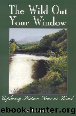 The Wild Out Your Window by Sy Montgomery