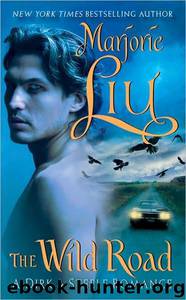 The Wild Road (DS8) by Liu Marjorie M