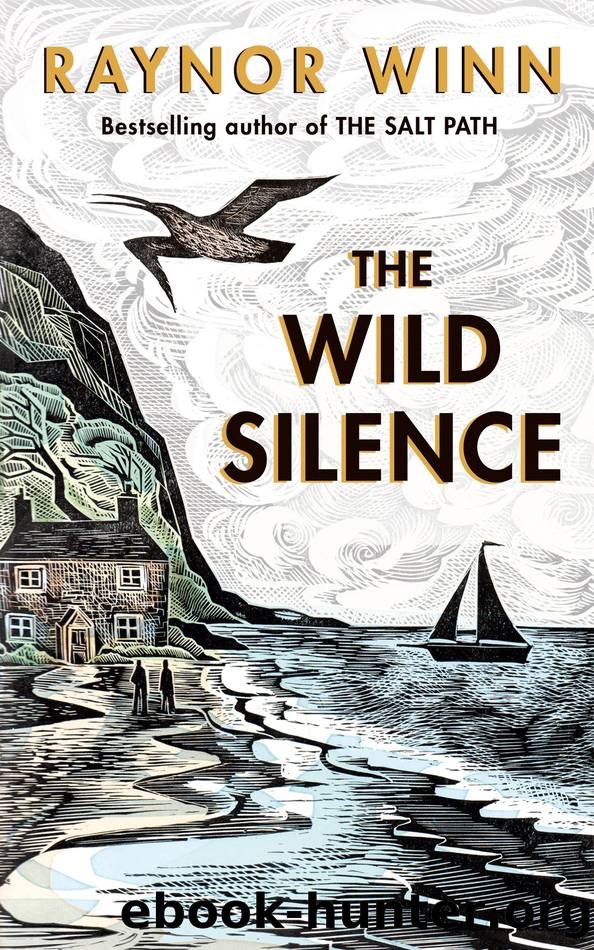 The Wild Silence by Raynor Winn