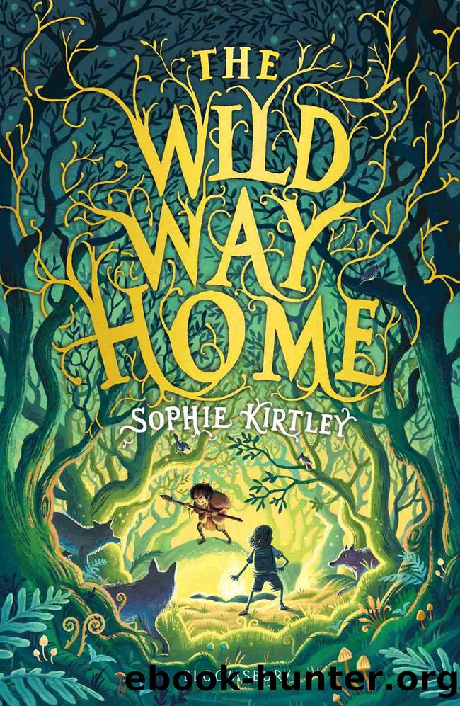 The Wild Way Home by Sophie Kirtley