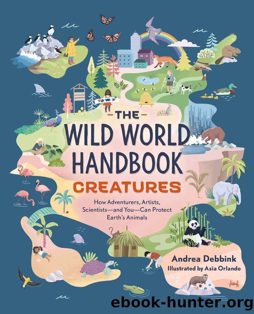 The Wild World Handbook by Andrea Debbink