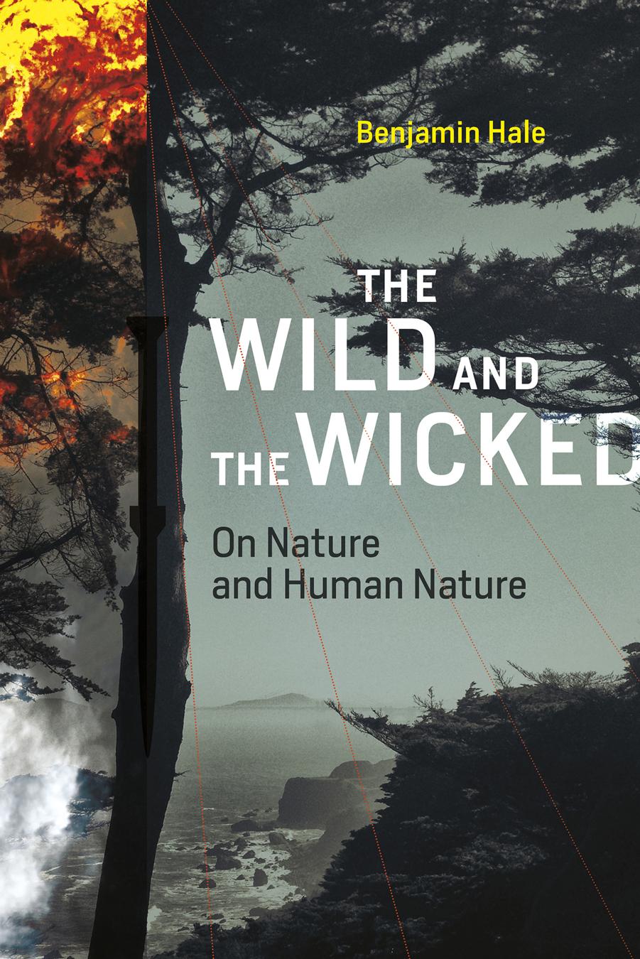 The Wild and the Wicked by Benjamin Hale