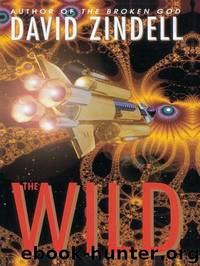 The Wild by David Zindell