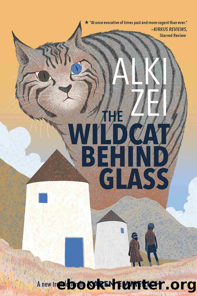 The Wildcat Behind Glass by Alki Zei