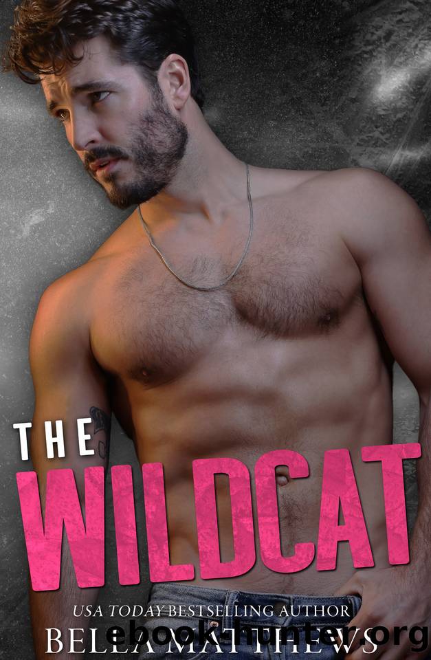 The Wildcat by Bella Matthews