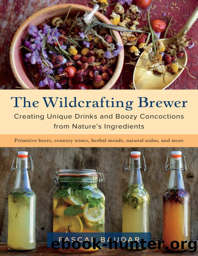 The Wildcrafting Brewer by Pascal Baudar