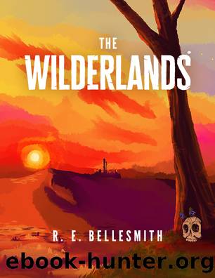 The Wilderlands by R.E. Bellesmith
