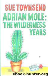 The Wilderness Years by Sue Townsend