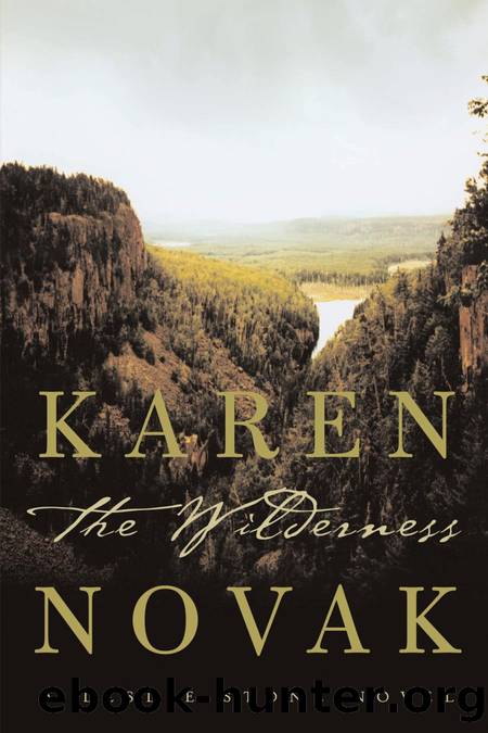 The Wilderness by Karen Novak