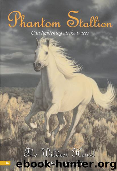 The Wildest Heart by Terri Farley