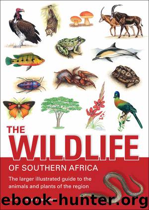 The Wildlife of Southern Africa by Vincent Carruthers