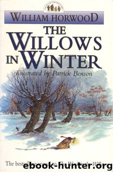 The Willows in Winter by William Horwood & Patrick Benson