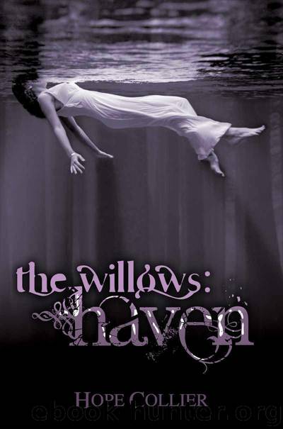 The Willows: Haven by Hope Collier