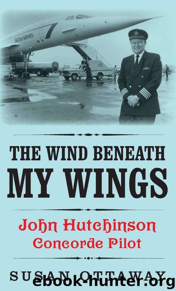 The Wind Beneath My Wings by Ottaway Susan