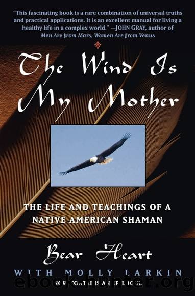 The Wind Is My Mother: The Life and Teachings of a Native American Shaman by Bear Heart
