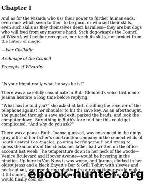 The Windrose Chronicles 3 - Dog Wizard by Hambly Barbara
