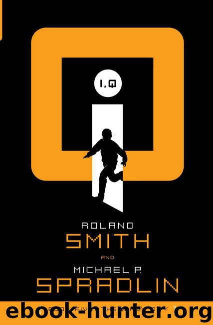 The Windy City by Roland Smith