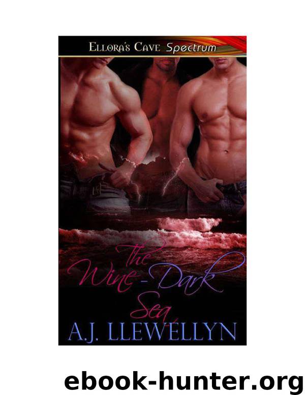 The Winen Dark Sea by A.J. Llewellyn