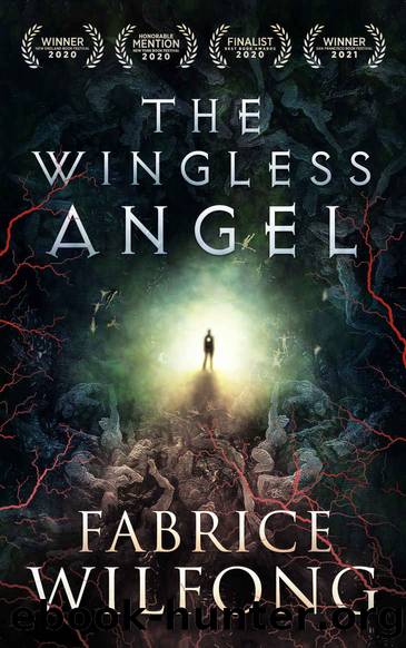 The Wingless Angel by Fabrice Wilfong