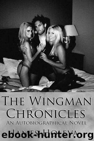 The Wingman Chronicles by James Holeva