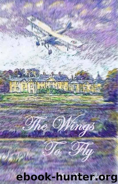 The Wings to Fly by Lisa Gabriel