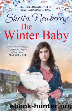 The Winter Baby by Sheila Newberry
