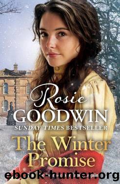 The Winter Promise by Rosie Goodwin