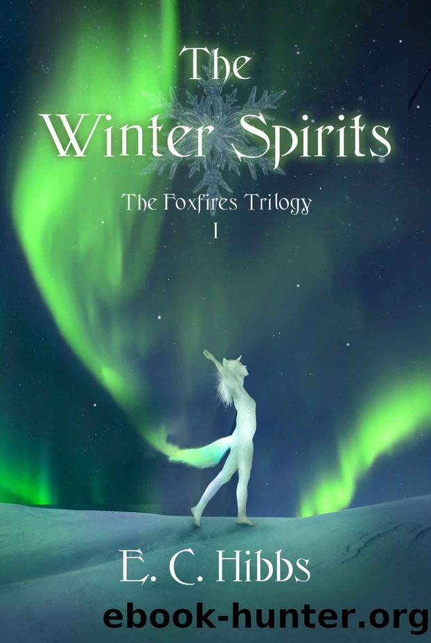 The Winter Spirits by E C Hibbs