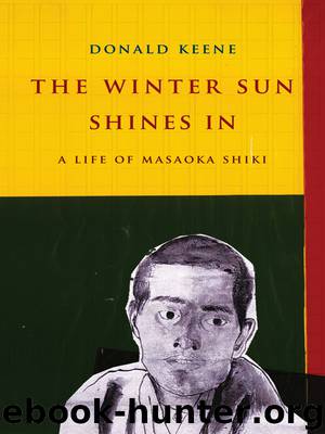 The Winter Sun Shines In by Donald Keene