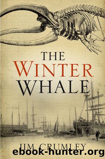 The Winter Whale by Jim Crumley