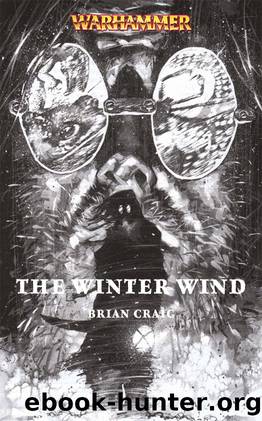 The Winter Wind by Brian Craig