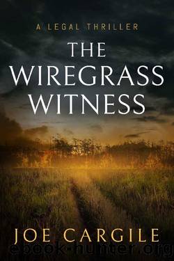 The Wiregrass Witness: A Legal Thriller (Blake County Legal Thrillers Book 3) by Joe Cargile