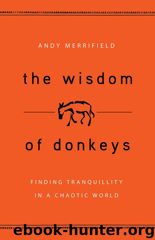 The Wisdom of Donkeys by Andy Merrifield