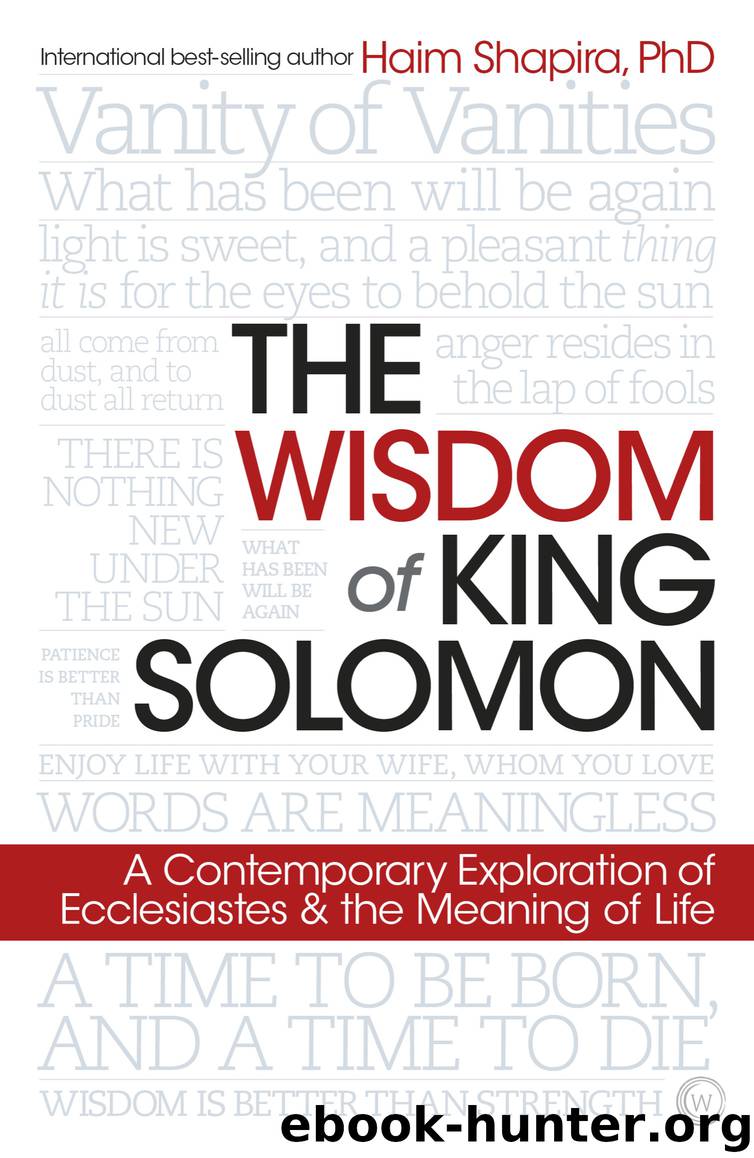 The Wisdom of King Solomon by Haim Shapira