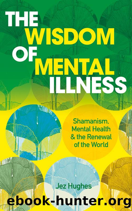 The Wisdom of Mental Illness by Jez Hughes