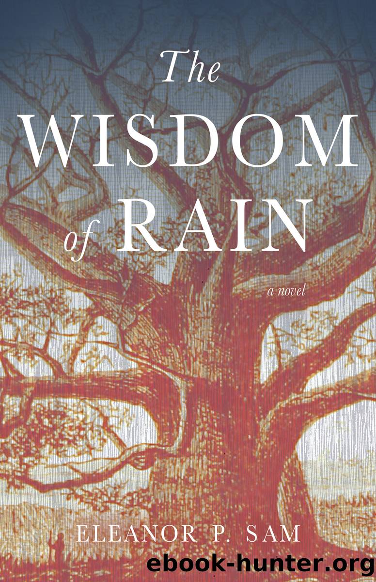 The Wisdom of Rain by Eleanor P. Sam