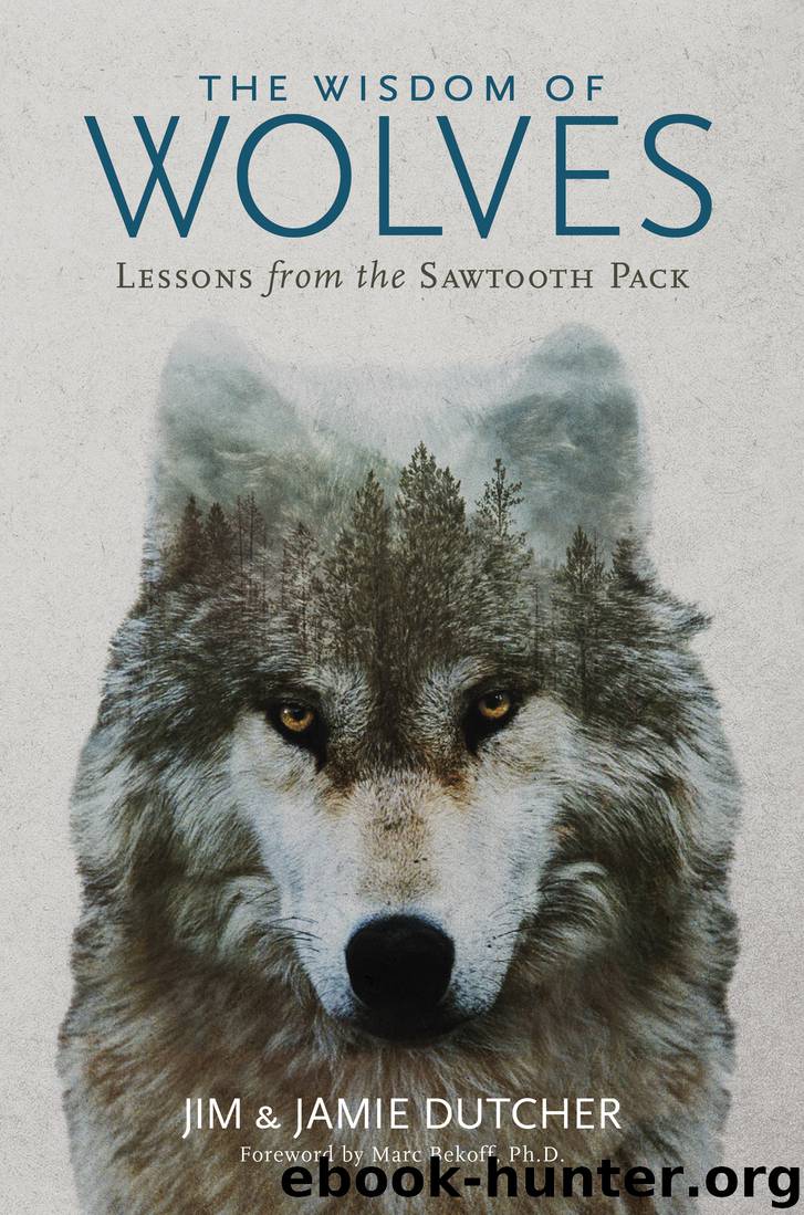 The Wisdom of Wolves by Jim Dutcher & Jamie Dutcher